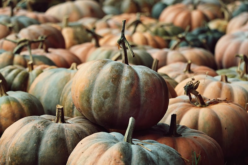 Fall Harvesting